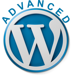 WordPress | Advanced Web Design Class